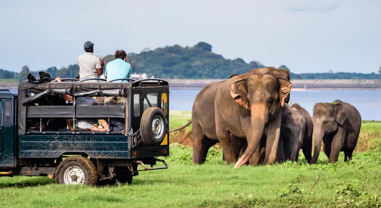 Dinesh Safari Homestay Udawalawe Ngoại thất bức ảnh